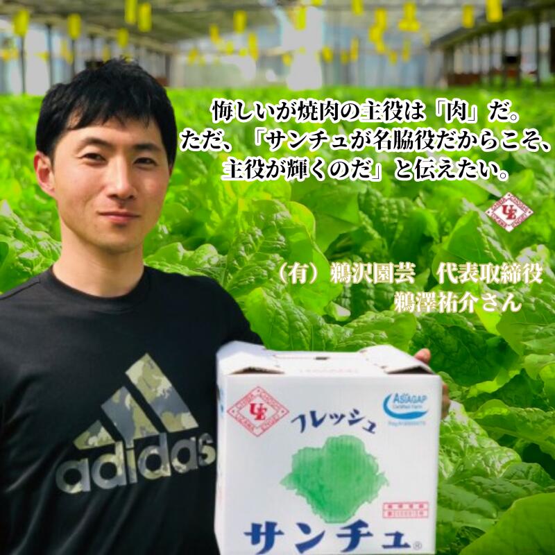 【ふるさと納税】 「 フレッシュサンチュ 」 合計200枚（10枚入×20パック） ふるさと納税 新鮮 フレッシュ サンチュ 焼き肉レタス チシャ チシャ菜 焼肉 焼き肉 BBQ バーベキュー 夏休み 銚子産 千葉県 銚子 鵜沢園芸 - 画像3