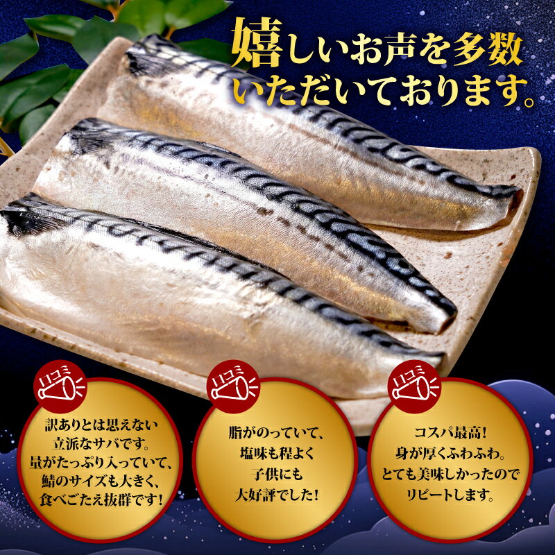 【ふるさと納税】 訳あり 塩さば 【選べる容量】 約2.8kg ~ 約3.6kg さば 鯖 フィレ 切り身 魚 小分け 魚介 弁当 惣菜 おかず つまみ 塩焼き 味噌煮 味噌焼 規格外 切身 冷凍食品 贈り物 海鮮 魚貝 冷凍 食品 ふるさと納税 送料無料 千葉県 銚子市 辻野 サムネイル2