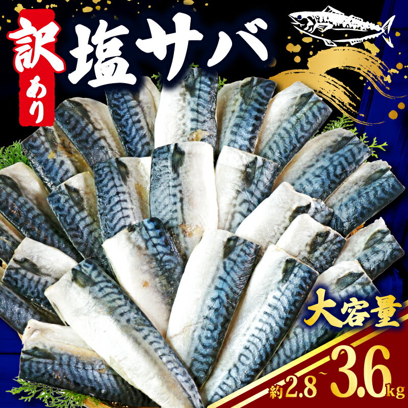 訳あり 塩さば 【選べる容量】 約2.8kg ~ 約3.6kg さば 鯖 フィレ 切り身 魚 小分け 魚介 弁当 惣菜 おかず つまみ 塩焼き 味噌煮 味噌焼 規格外 切身 冷凍食品 贈り物 海鮮 魚貝 冷凍 食品 ふるさと納税 送料無料 千葉県 銚子市 辻野