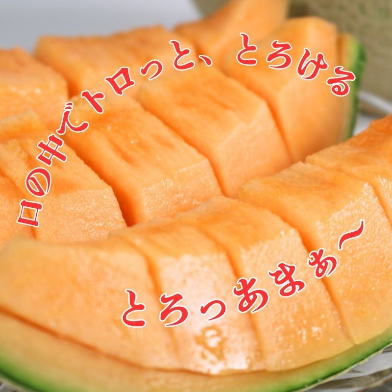 【ふるさと納税】 【先行予約】 赤肉とろ甘メロン 大サイズ 2玉 （ 1玉約1.8kg以上 ） 銚子産 弥兵衛 完熟 熟成 メロン 赤肉 果物 フルーツ ギフト プレゼント 贈答 お取り寄せ 産地直送 送料無料 ふるさと納税 ふるさと納税果物 千葉県 銚子市 弥兵衛 7月上旬～発送 サムネイル2