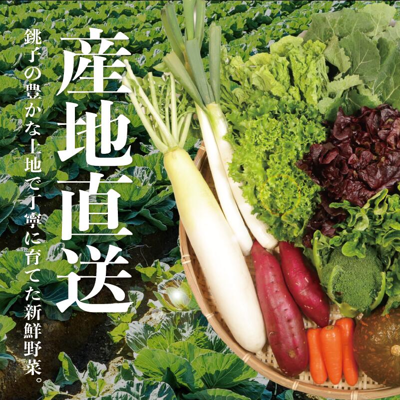 【ふるさと納税】 野菜詰め合わせセット 8〜10種類 季節の野菜 やさい トマト キャベツ 大根 人参 にんじん サラダ 小松菜 かぶ ほうれん草 ブロッコリー ミニトマト 野菜 野菜セット 新鮮野菜 朝採れ 産地 10000 10,000 10000円 ふるさと納税 送料無料 千葉県 銚子市 孝農園 - 画像2