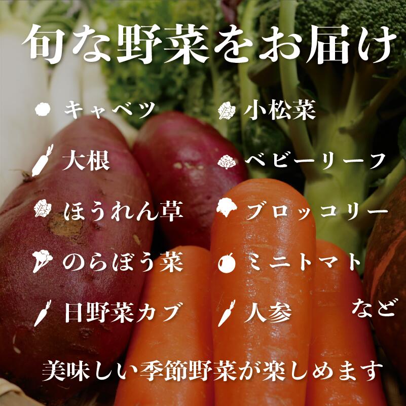 【ふるさと納税】 野菜詰め合わせセット 8〜10種類 季節の野菜 やさい トマト キャベツ 大根 人参 にんじん サラダ 小松菜 かぶ ほうれん草 ブロッコリー ミニトマト 野菜 野菜セット 新鮮野菜 朝採れ 産地 10000 10,000 10000円 ふるさと納税 送料無料 千葉県 銚子市 孝農園 - 画像3