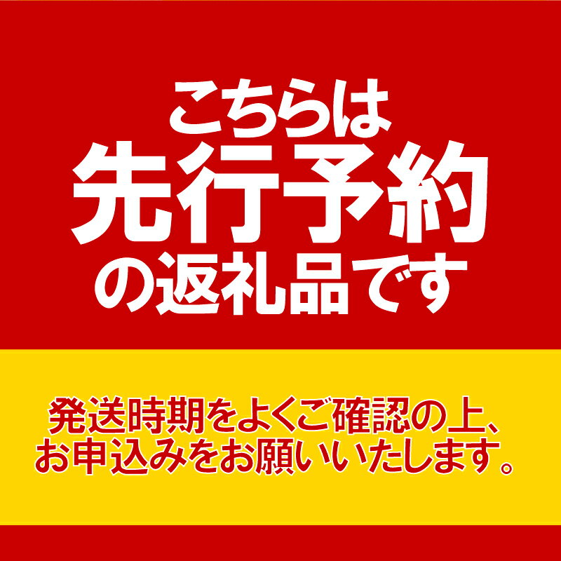 【ふるさと納税】 とうもろこし 【選べる容量】 10～26本 数量限定 期間限定 産地直送 鮮度抜群 大容量 旬の野菜 旬の味覚 甘い トウモロコシ イエローコーン 夏野菜 特産品 お裾分け ギフト 発送時期 2026年7月中旬～(なくなり次第終了) 送料無料 千葉県 銚子市 小野商店 - 画像2
