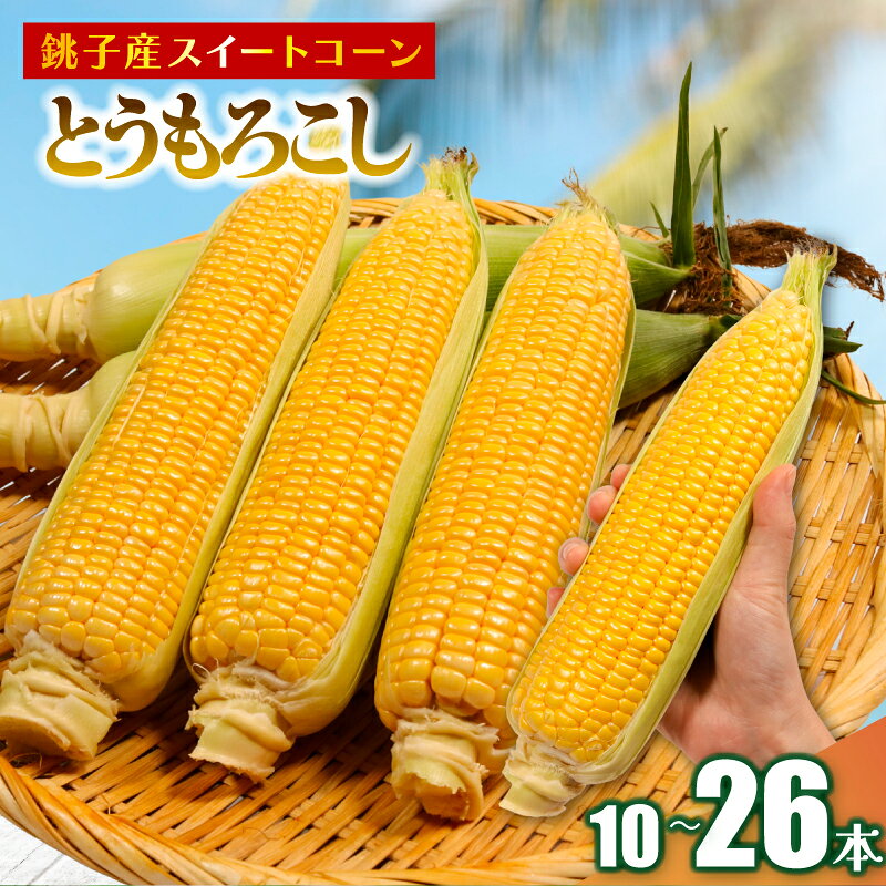 とうもろこし 【選べる容量】 10～26本 数量限定 期間限定 産地直送 鮮度抜群 大容量 旬の野菜 旬の味覚 甘い トウモロコシ イエローコーン 夏野菜 特産品 お裾分け ギフト 発送時期 2026年7月中旬～(なくなり次第終了) 送料無料 千葉県 銚子市 小野商店