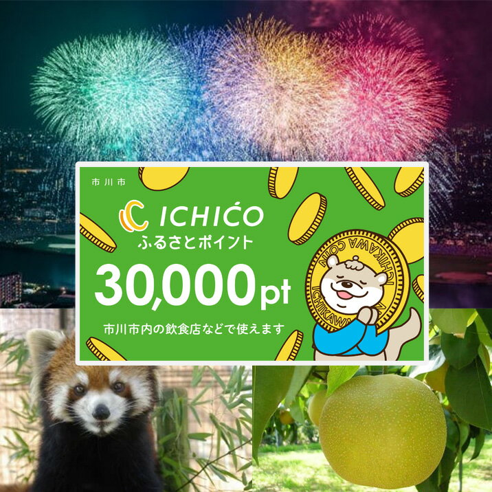 デジタル地域通貨ICHICOふるさとポイント30,000pt　【12203-0219】