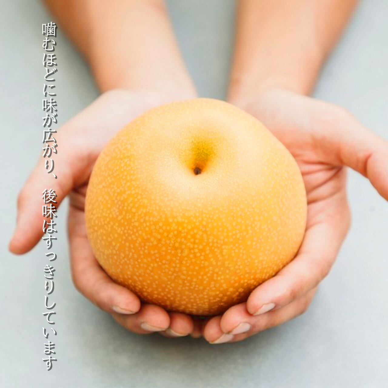 【ふるさと納税】【勘兵衛園】和梨のドライフルーツ　40g×6個 梨 朝食 おやつ 千葉県 市川市 送料無料　【12203-0174】 サムネイル3