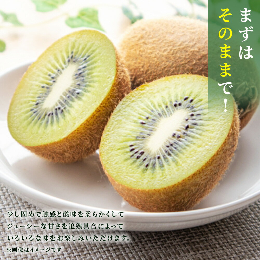 【ふるさと納税】キウイ キウイフルーツ ヘイワード 5.2kg 未追熟 国産 船橋産 果物 フルーツ 選べる発送月11月 12月 1月 2月 季節限定 期間限定 まるり【傷み補償分込】 サムネイル2