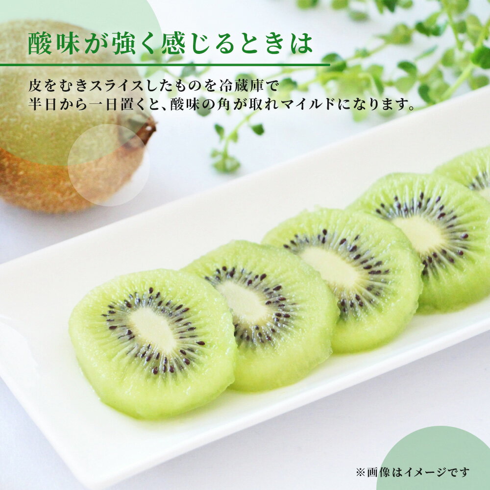 【ふるさと納税】キウイ キウイフルーツ ヘイワード 5.2kg 未追熟 国産 船橋産 果物 フルーツ 選べる発送月11月 12月 1月 2月 季節限定 期間限定 まるり【傷み補償分込】 サムネイル3