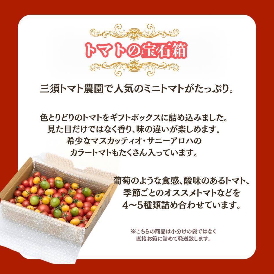 【ふるさと納税】三須トマト農園 トマトの宝石箱 1.8kg 国産 詰め合わせバラ箱詰め とまと トマト フルーツトマト ミニトマト トマトジュース 野菜 やさい 人気 新鮮 産地直送 甘い 高糖度 完熟 食べやすい リコピン ビタミン ダイエット 美容 美肌 - 画像2