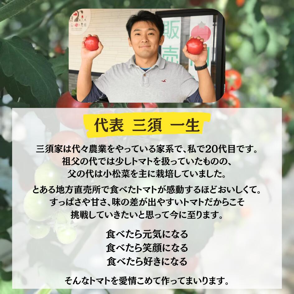 【ふるさと納税】三須トマト農園 トマトの宝石箱 1.8kg 国産 詰め合わせバラ箱詰め とまと トマト フルーツトマト ミニトマト トマトジュース 野菜 やさい 人気 新鮮 産地直送 甘い 高糖度 完熟 食べやすい リコピン ビタミン ダイエット 美容 美肌 - 画像3