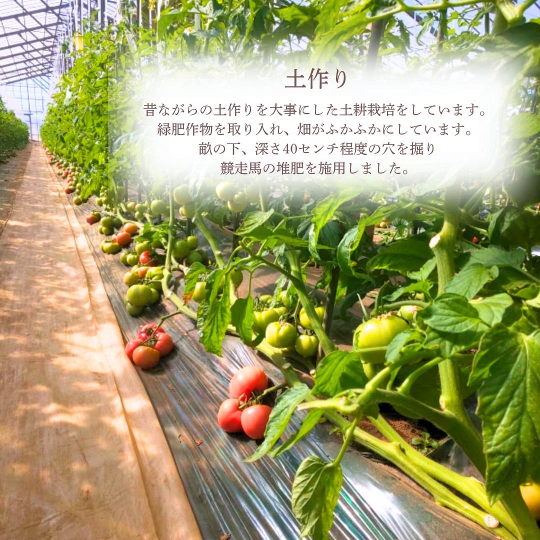 【ふるさと納税】ずっしり詰まった極上トマト3kg 国産 とまと トマトトマトジュース 野菜 やさい 人気 新鮮 産地直送 甘い 高糖度 完熟 食べやすい リコピン ビタミン ダイエット 美容 美肌 - 画像3