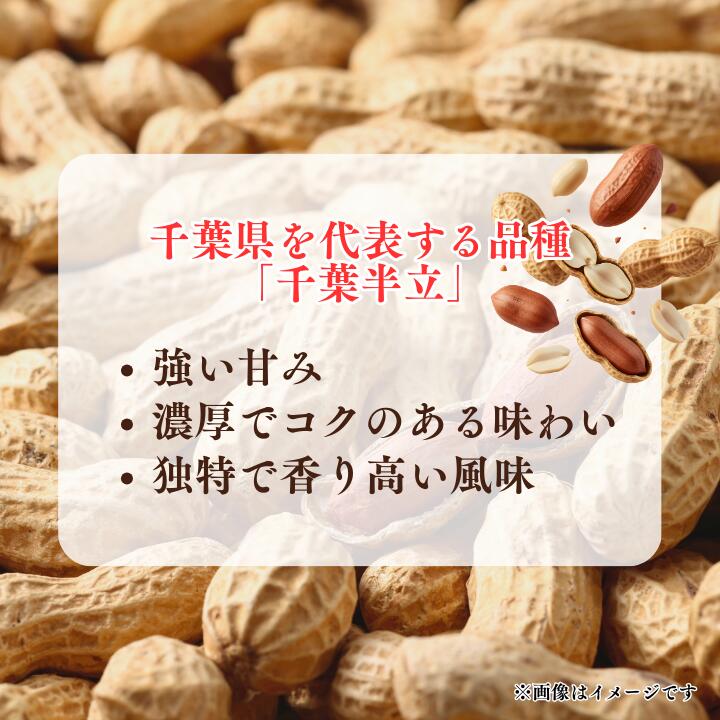 【ふるさと納税】から煎り千葉半立2袋 - 画像2