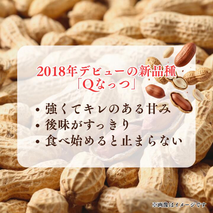 【ふるさと納税】から煎り落花生　Qなっつ - 画像2