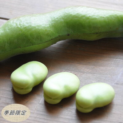 【ふるさと納税】【数量限定】安心安全なサヤ付き房州そらまめ 約3.5kg (4月下旬頃～5月下旬頃発送予定)【配送不可地域：離島・北海道・沖縄県・東北・中国・四国・九州】【1486428】 - 画像2