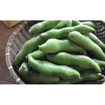 【ふるさと納税】【数量限定】安心安全なサヤ付き房州そらまめ 約3.5kg (4月下旬頃～5月下旬頃発送予定)【配送不可地域：離島・北海道・沖縄県・東北・中国・四国・九州】【1486428】 - 画像3