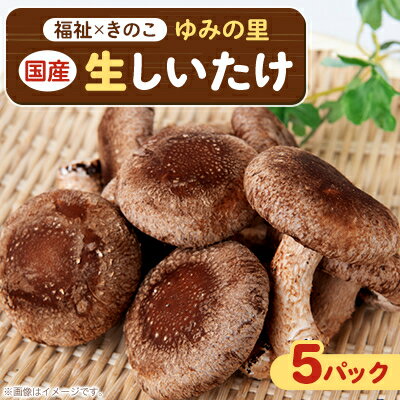 【農福連携】千葉県館山産 生しいたけ110g×5パック 就労継続支援A/B型併用事業所「ゆみの里」【配送不可地域：離島・沖縄県】【1486687】