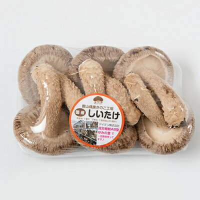 【ふるさと納税】【農福連携】千葉県館山産 生しいたけ110g×5パック 就労継続支援A/B型併用事業所「ゆみの里」【配送不可地域：離島・沖縄県】【1486687】 - 画像2