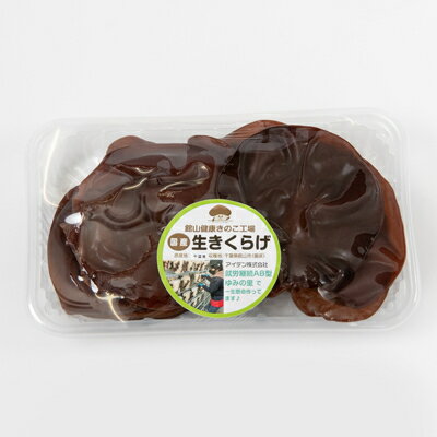 【ふるさと納税】【農福連携】千葉県館山産 生きくらげ100g×4パック 就労継続支援A/B型併用事業所「ゆみの里」【配送不可地域：離島】【1486711】 - 画像2