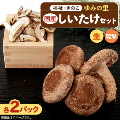 【農福連携】千葉県館山産しいたけセット(生しいたけ110g×2パック・乾燥しいたけ30g×2パック)【配送不可地域：離島・沖縄県】【1486713】