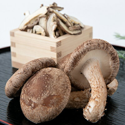 【ふるさと納税】【農福連携】千葉県館山産しいたけセット(生しいたけ110g×2パック・乾燥しいたけ30g×2パック)【配送不可地域：離島・沖縄県】【1486713】 - 画像3