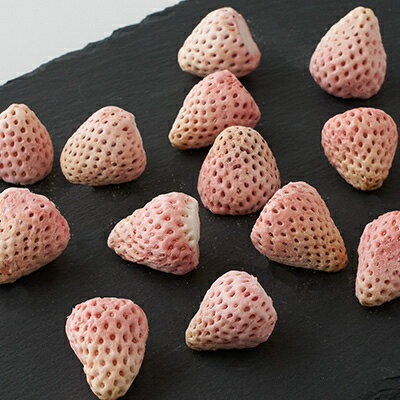 【ふるさと納税】きざえむファームの南房総館山フリーズドライ いちご(あわゆき) 1パック_ドライフルーツ ドライフルーツ ドライフルーツ【1487567】 サムネイル3