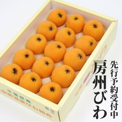 【先行予約】4月下旬より順次発送　温室栽培「房州びわ」 L・2Lサイズ　化粧箱入り【配送不可地域：離島・沖縄県】【1488004】