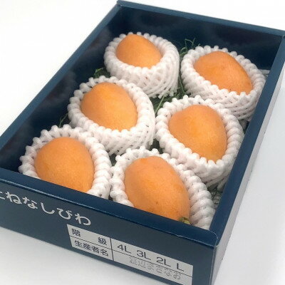 【ふるさと納税】【先行予約】4月下旬頃より順次発送　種無し房州びわ「希房」 2Lサイズ6粒　化粧箱入り【配送不可地域：離島・沖縄県】【1571382】 サムネイル3