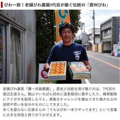 【ふるさと納税】【先行予約】4月下旬頃より順次発送　房州びわ　種あり&種なし 食べ比べセット　化粧箱入り【配送不可地域：離島・沖縄県】【1571385】 サムネイル3