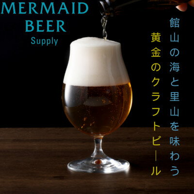 館山ブロンドエール 12本セット【配送不可地域：離島】【1578240】