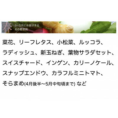 【ふるさと納税】【毎月定期便】【中旬発送】こだわりの旬野菜BOX「リエビン」季節の野菜セット全6回【配送不可地域：離島・沖縄県】【4012343】 - 画像2