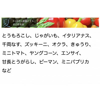 【ふるさと納税】【毎月定期便】【下旬発送】こだわりの旬野菜BOX「リエビン」季節の野菜セット全12回【配送不可地域：離島・沖縄県】【4012347】 - 画像3