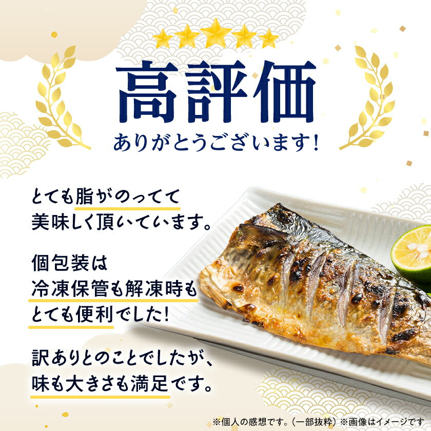 【ふるさと納税】【訳あり】塩さば 20切れ 約2.2kg(個包装)_ 塩さば サバ 鯖 訳あり 個包装 魚介類 美味しい 人気 おすすめ 送料無料 【配送不可地域：離島】【1486464】 サムネイル2