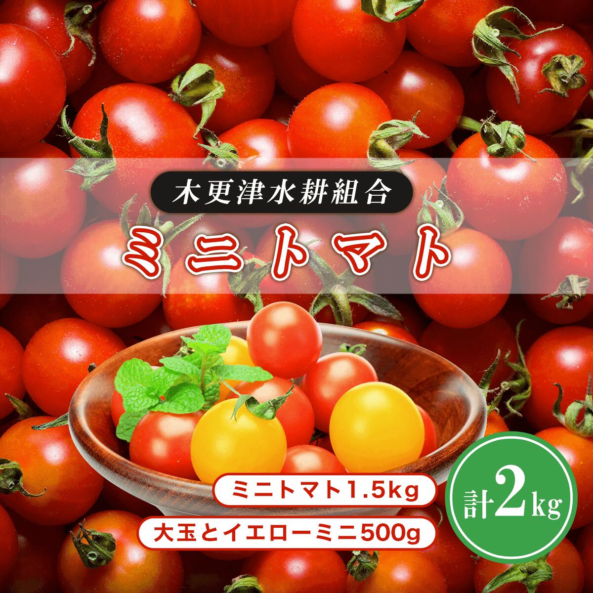 ミニトマト1.5kg　大玉とイエローミニ500g 計2kg＜木更津水耕組合＞ ふるさと納税 ミニトマト 千葉県 木更津 送料無料 KBD001