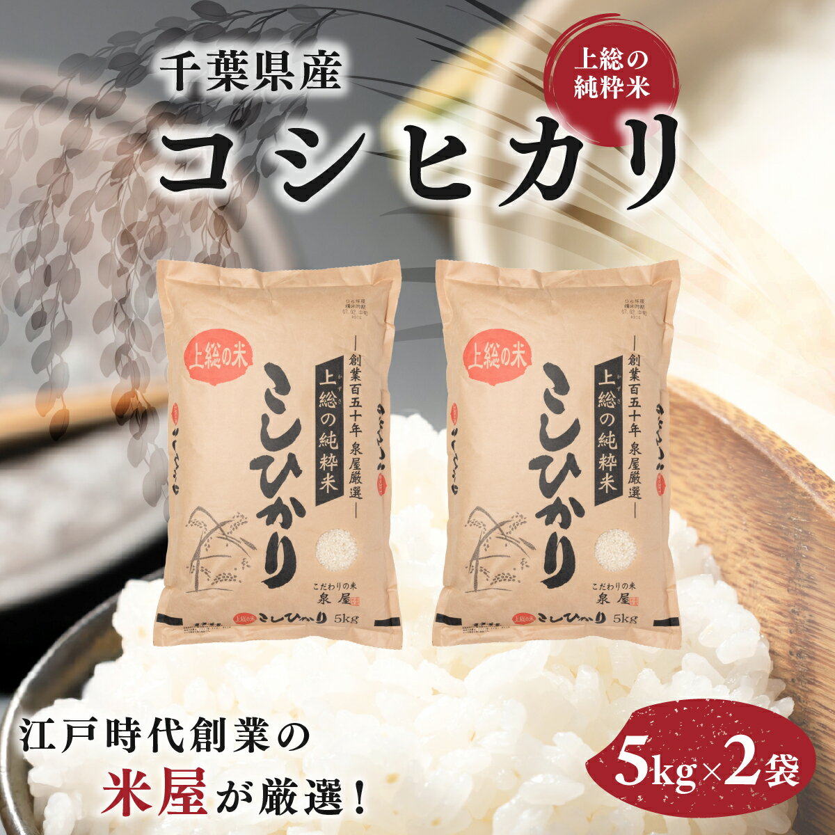 【数量限定】【厳選】【令和7年産 】上総の純粋米コシヒカリ　5kg×2 千葉県産 KCV001 コシヒカリ こしひかり お米 米 こめ うるち米 うるち精米 千葉県 木更津市 送料無料 数量限定 限定 KCV001