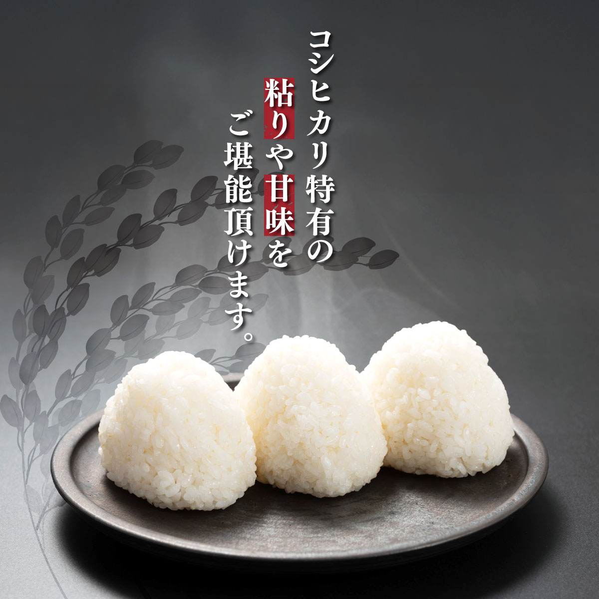 【ふるさと納税】【数量限定】【厳選】【令和7年産 】上総の純粋米コシヒカリ　5kg×2 千葉県産 KCV001 コシヒカリ こしひかり お米 米 こめ うるち米 うるち精米 千葉県 木更津市 送料無料 数量限定 限定 KCV001 - 画像2