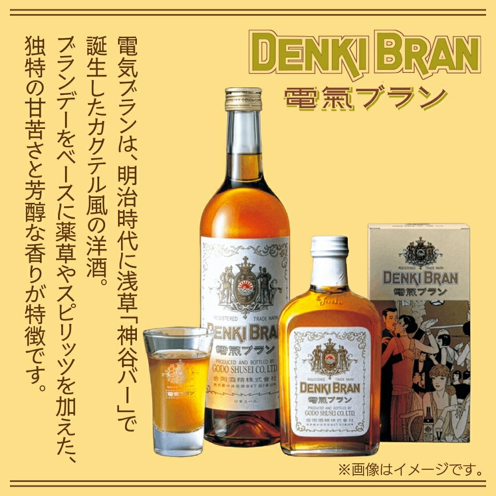 【 ふるさと納税 】浅草 神谷バー の味を松戸から 電気ブラン 40度 360ml 2本 甘苦い ブランデー スピリッツ お酒 酒 アルコール アルコール飲料 40% ハーブ香 ストレート ロック ソーダ割り コーラ割り ハイボール お取り寄せ ご当地 送料無料 千葉県 松戸市 サムネイル2