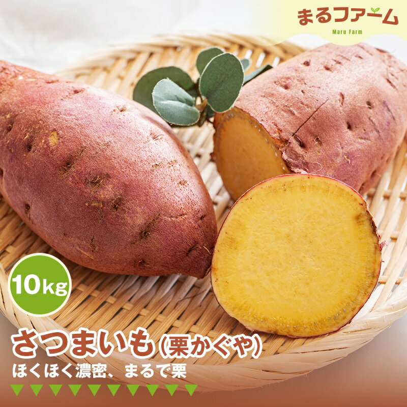 サツマイモ（栗かぐや） 10kg ／ さつまいも 栗かぐや 国産 新品種 希少品種 甘み ホクホク 食感 黄金色 果肉 焼き芋 料理用 大容量 日常使い 送料無料 千葉県 特産 No.375