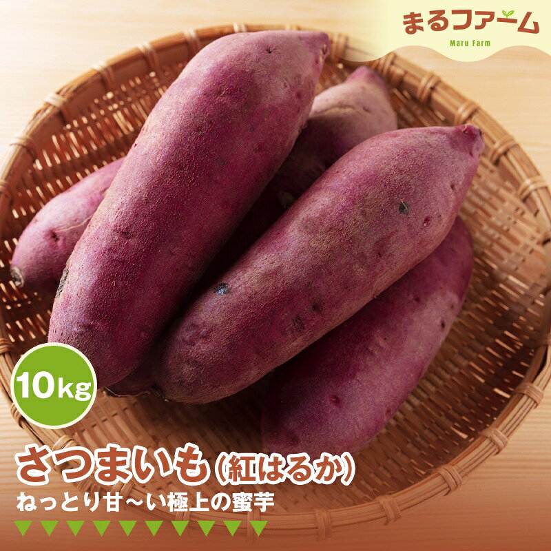 サツマイモ（紅はるか） 10kg ／ さつまいも 紅はるか 国産 新鮮 甘み しっとり 食感 焼き芋 お菓子作り たっぶり 大容量 料理用 常備しやすい 甘い系 送料無料 千葉県 特産 No.376