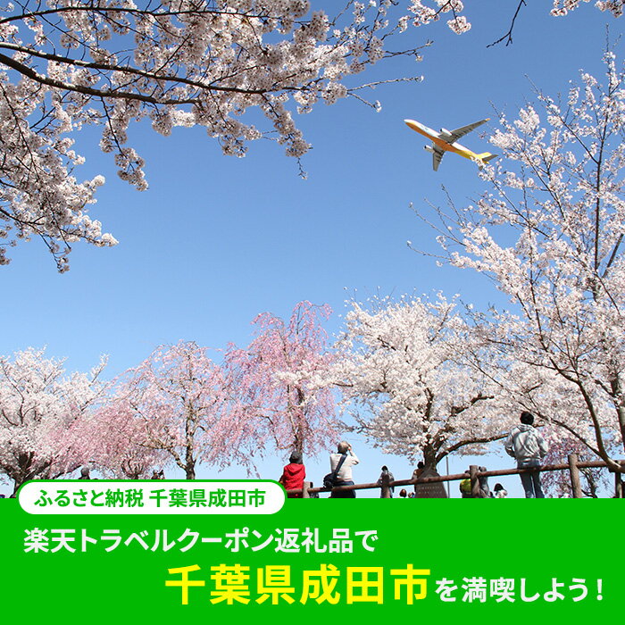 【ふるさと納税】千葉県成田市の対象施設で使える 楽天トラベルクーポン 寄付額20,000円(クーポン6,000円) 千葉 関東 宿泊 宿泊券 ホテル 旅館 旅行 旅行券 観光 トラベル チケット 旅 宿 券 サムネイル2