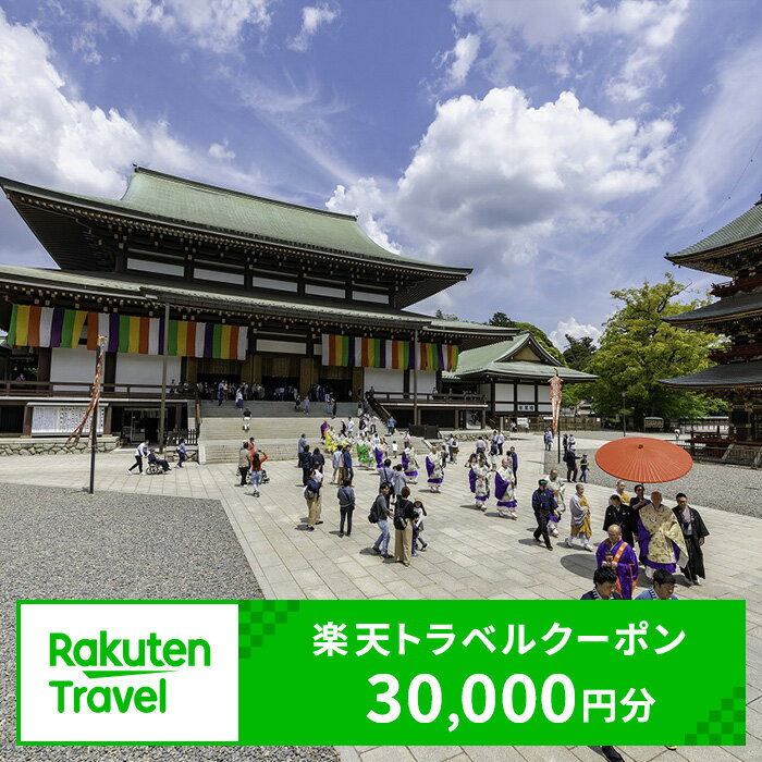 千葉県成田市の対象施設で使える 楽天トラベルクーポン 寄付額100,000円(クーポン30,000円) 千葉 関東 宿泊 宿泊券 ホテル 旅館 旅行 旅行券 観光 トラベル チケット 旅 宿 券