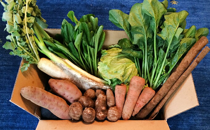 【ふるさと納税】おかげさま農場の野菜のおまかせセット（無化学農薬・肥料栽培） 詰合せ 季節の野菜 詰め合わせ - 画像2