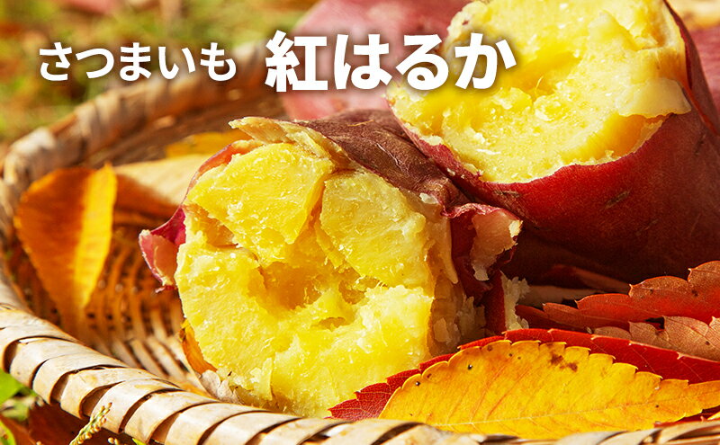 【ふるさと納税】さつま芋(紅はるか） 野菜 サツマイモ さつまいも 　お届け：2026年2月上旬～4月上旬 - 画像2