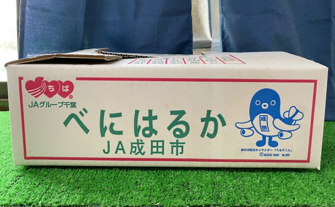 【ふるさと納税】さつま芋(紅はるか） 野菜 サツマイモ さつまいも 　お届け：2026年2月上旬～4月上旬 - 画像3