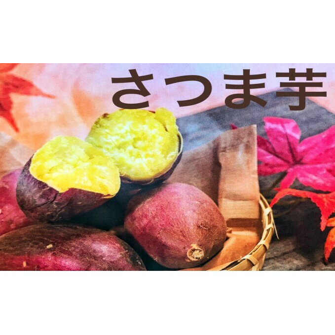 さつまいも（シルクスイート） 野菜 お芋 芋 食材 焼き芋 天ぷら 国産 日本産 　お届け：2026年1月中旬～4月上旬