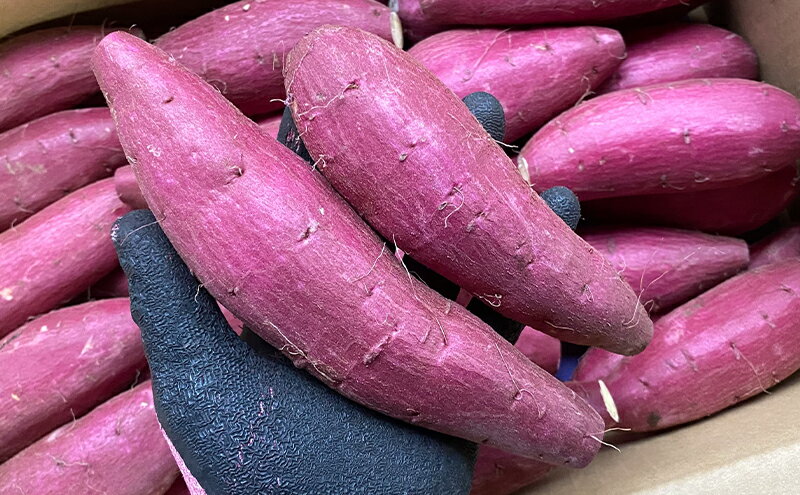 【ふるさと納税】【Sサイズ】さつまいも5kg（シルクスイート） サツマイモ 薩摩芋 焼き芋 やきいも ヤキイモ 天ぷら 大学いも おやつ スイーツ スイートポテト 農家 産地直送 成田市 千葉県　お届け：2025年12月上旬～2026年6月中旬まで - 画像3