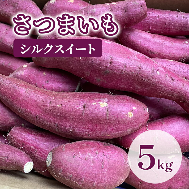 【訳あり】さつまいも5kg（シルクスイート） サツマイモ 薩摩芋 焼き芋 やきいも ヤキイモ 天ぷら 大学いも おやつ スイーツ スイートポテト 農家 産地直送 成田市 千葉県　お届け：2025年12月上旬～2026年6月中旬まで