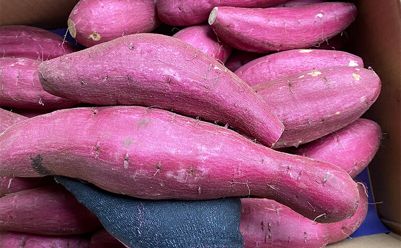 【ふるさと納税】【訳あり】さつまいも5kg（シルクスイート） サツマイモ 薩摩芋 焼き芋 やきいも ヤキイモ 天ぷら 大学いも おやつ スイーツ スイートポテト 農家 産地直送 成田市 千葉県　お届け：2025年12月上旬～2026年6月中旬まで - 画像3