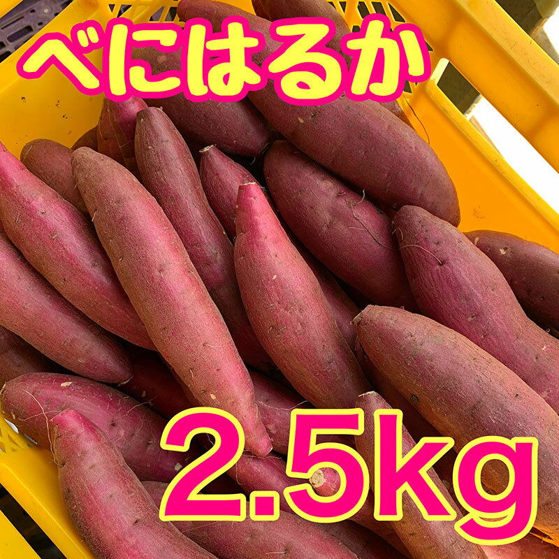 べにはるか2.5kg　紅はるか サツマイモ さつまいも 芋 千葉県 成田市　お届け：2026年3月下旬まで