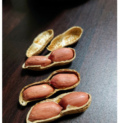 【ふるさと納税】佐倉市産煎り莢落花生 180g×2袋 ～種まきから焙煎まで～【1599083】 - 画像3