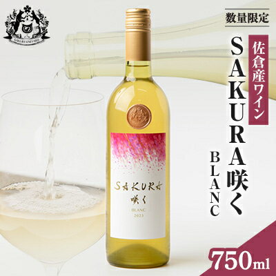 【数量限定】佐倉産初のワイン!混醸辛口白ワイン　750ml×1本【配送不可地域：離島】【1637173】